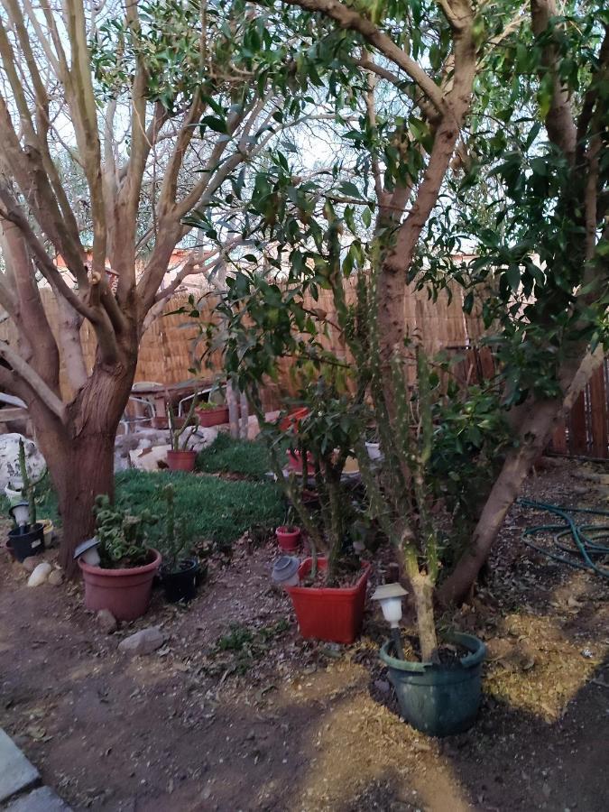 Tambo Norte San Pedro de Atacama Ngoại thất bức ảnh